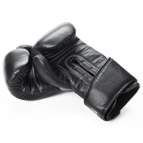 Boxing Gloves 4101