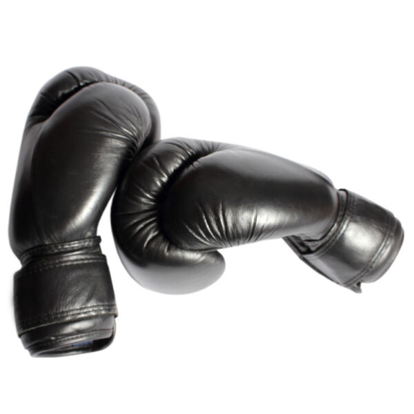 Boxing Gloves 4102